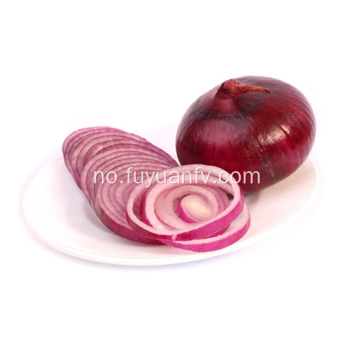 Frisk god Qulality Red Onion